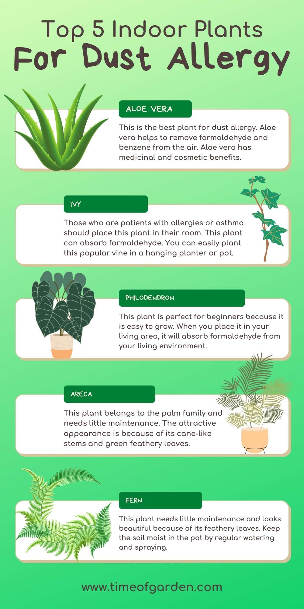 top 5 Plants That Help With Dust Allergies pin infographic