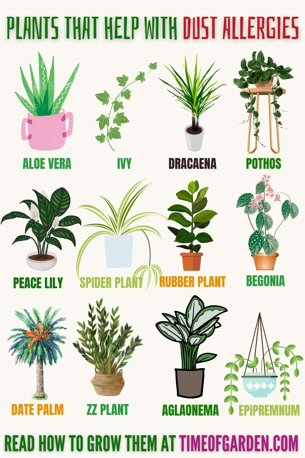 Plants That Help With Dust Allergies pin infographic