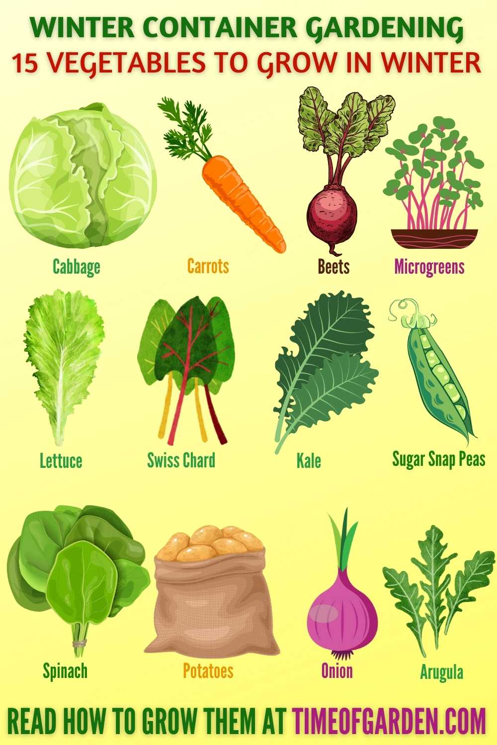 15 Vegetables To Grow In Winter - infographic