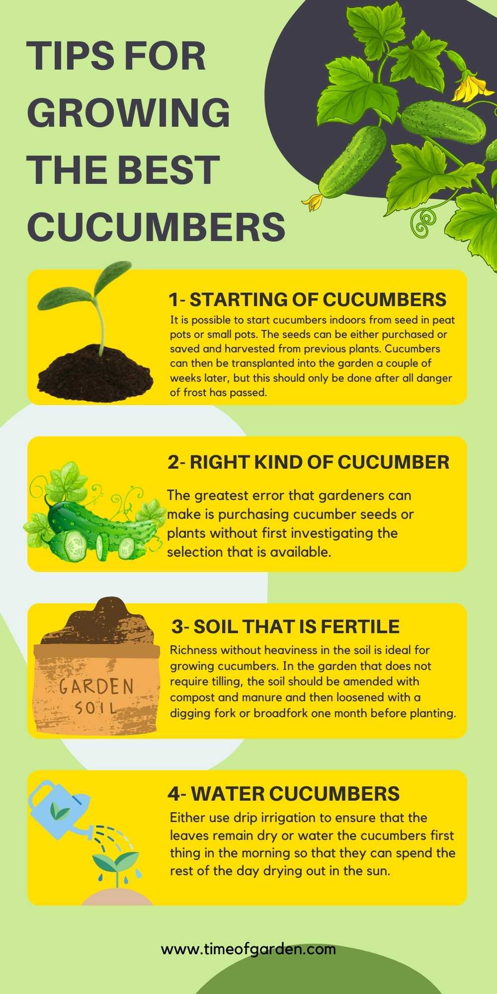 Tips For Growing The Best Cucumbers - infographic
