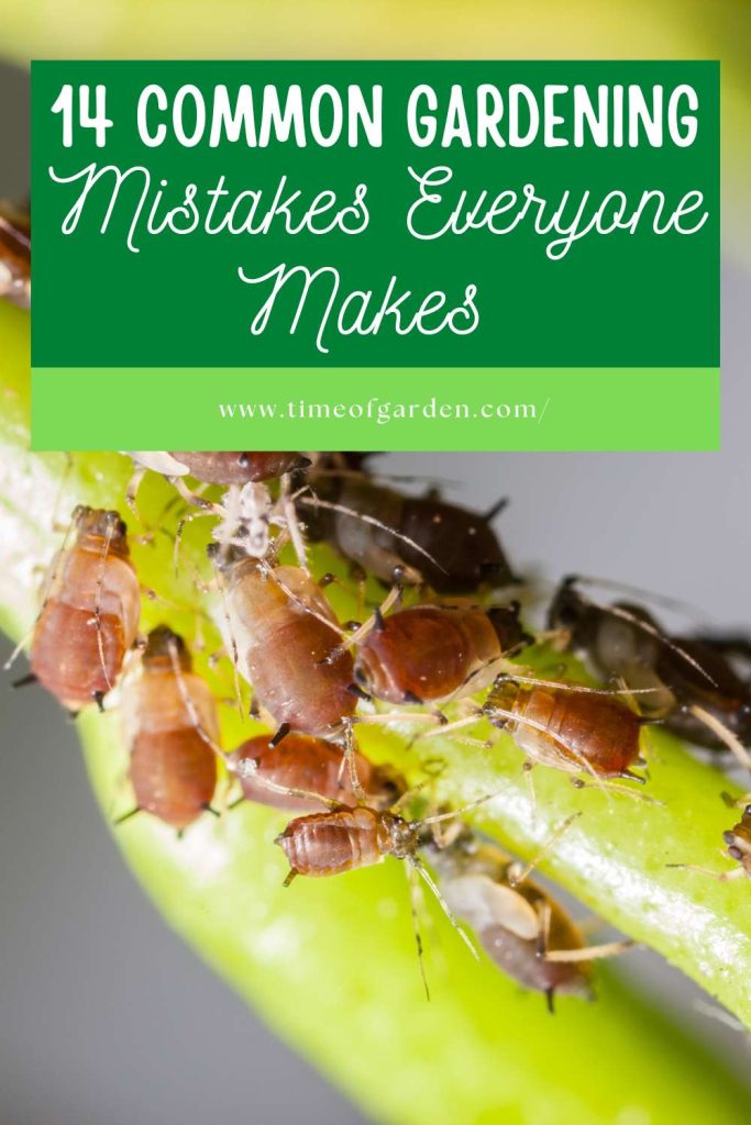 14 Common Gardening Mistakes Everyone Makes - pin