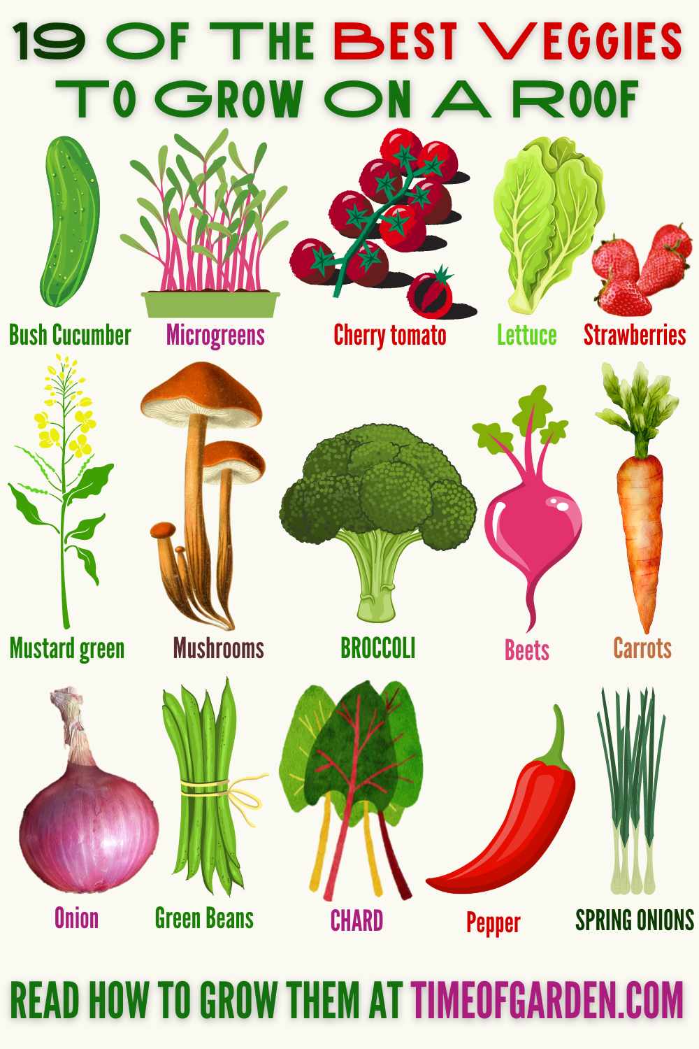 19 Of The Best Veggies To Grow On A Roof