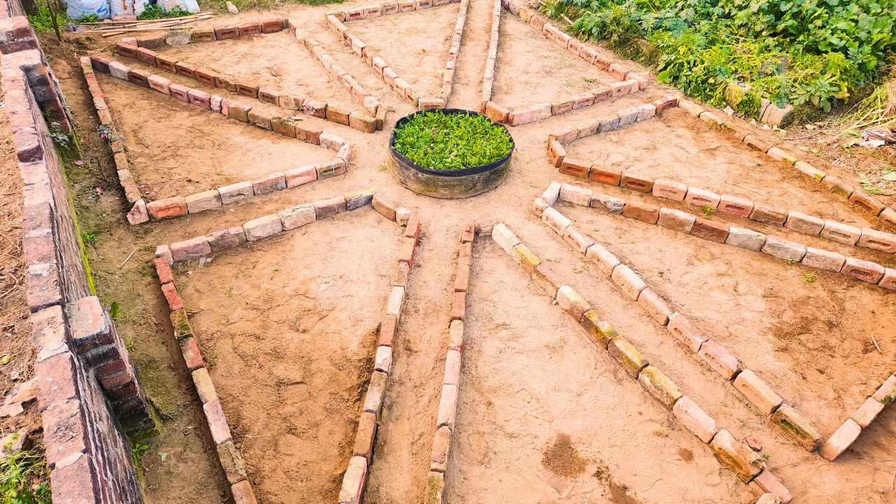 Front Yard Vegetable Garden Ideas - Time Of Garden