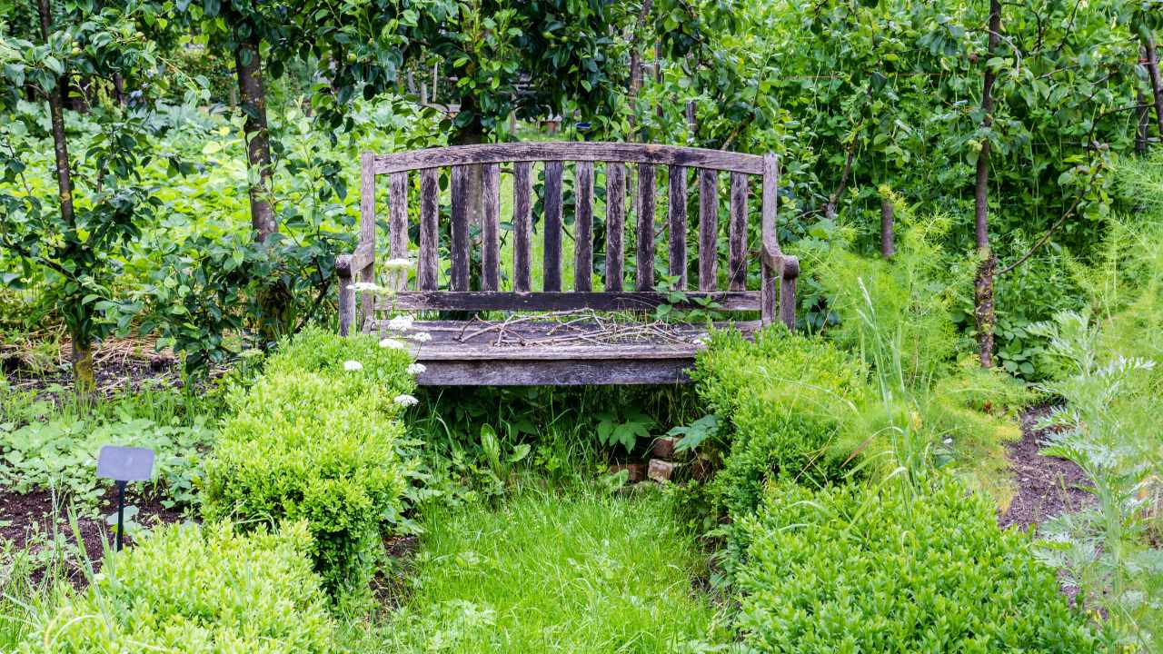 Front Yard Vegetable Garden Ideas - Time Of Garden